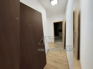 Pronájem bytu 2+kk, České Budějovice, B. Smetany, 46 m2