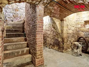 Prodej rodinného domu, Svojetín, 800 m2