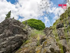 Prodej rodinného domu, Vlastislav, 61 m2