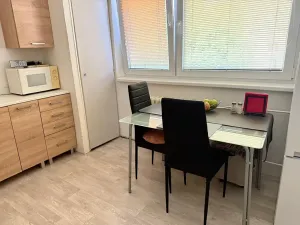 Pronájem bytu 1+1, Brno, Absolonova, 32 m2