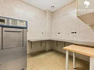 Prodej ordinace, Rožnov pod Radhoštěm, Lesní, 274 m2