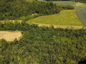 Prodej zahrady, Ivančice, 8724 m2
