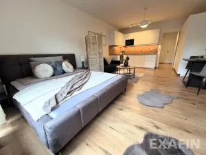 Prodej bytu 1+kk, Praha - Čimice, Fořtova, 41 m2