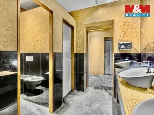 Pronájem obchodního prostoru, Jesenice, Budějovická, 289 m2