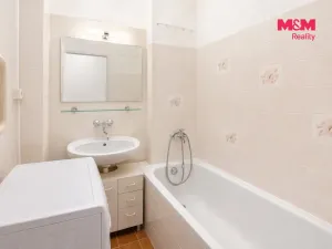 Prodej bytu 1+1, Pardubice - Zelené Předměstí, Devotyho, 35 m2