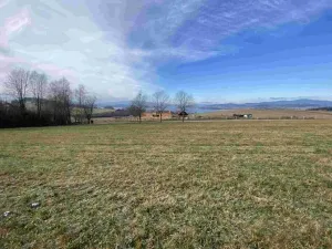 Prodej pole, Černá v Pošumaví - Bližná, 2972 m2