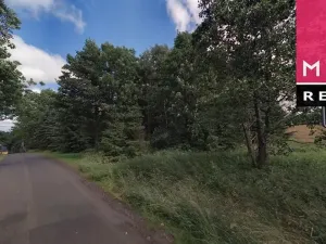 Prodej louky, Stráž nad Ohří, 19580 m2