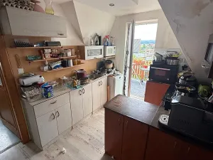 Prodej podílu vícegeneračního domu, Drmoul, Luční, 303 m2