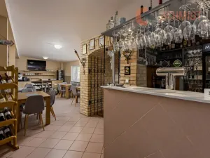 Prodej ubytování, Podivín, 450 m2
