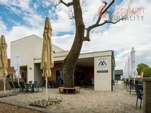 Prodej ubytování, Podivín, 450 m2