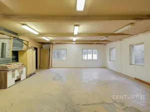 Prodej komerční nemovitosti, Horní Cerekev, 460 m2