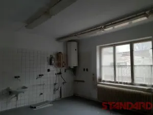 Pronájem komerční nemovitosti, Lužany, 64 m2