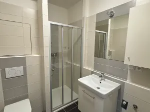 Pronájem bytu 1+kk, Brno, Vranovská, 26 m2