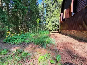 Prodej chaty, Borová, 53 m2