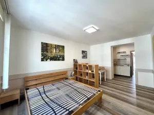 Pronájem bytu 1+kk, Praha - Vršovice, Sevastopolská, 30 m2