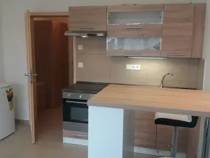 Pronájem bytu 1+kk, Brno, Hostinského, 28 m2