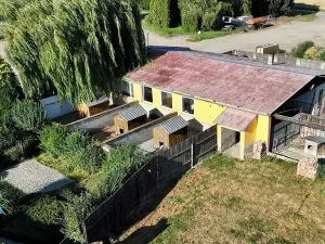 Prodej zemědělské usedlosti, Slezské Pavlovice, 810 m2