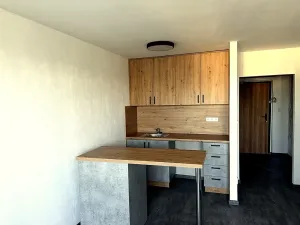 Pronájem bytu 1+kk, Karviná, 30 m2