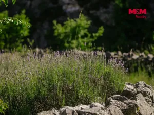 Prodej zahrady, Štramberk, 89052 m2