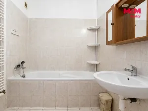 Pronájem bytu 1+1, Nová Role, U Plynárny, 38 m2