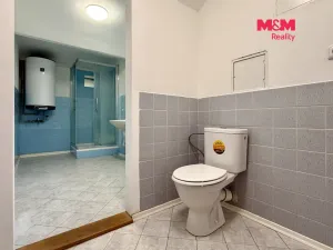 Pronájem bytu 2+1, Hobšovice - Skůry, 78 m2