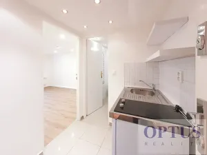 Pronájem bytu 1+kk, Praha - Podolí, Levá, 25 m2
