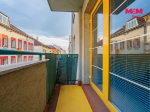 Prodej bytu 2+kk, České Budějovice - České Budějovice 3, Riegrova, 44 m2