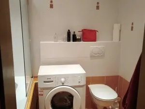 Pronájem bytu 2+kk, Železná Ruda, 37 m2