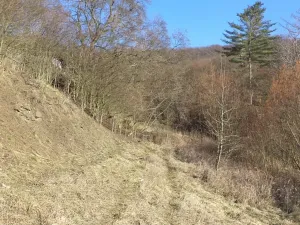 Dražba zahrady, Trmice, 640 m2