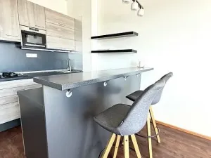 Pronájem bytu 2+kk, Brno - Ponava, Domažlická, 54 m2