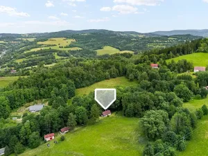 Prodej chalupy, Zlatá Olešnice, 112 m2