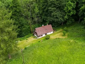 Prodej chalupy, Zlatá Olešnice, 112 m2