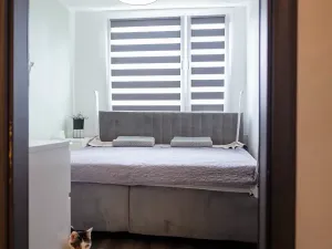 Prodej bytu 3+kk, Kutná Hora, Jana Palacha, 63 m2