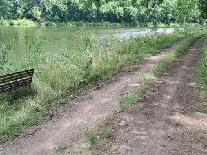 Pronájem zahrady, Tišice, 1000 m2