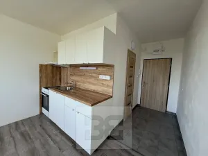 Pronájem bytu 1+1, Písek, třída Přátelství, 36 m2