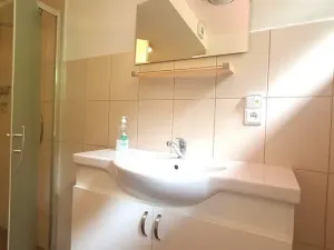 Prodej rodinného domu, Šumvald, 350 m2