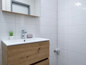 Pronájem bytu 2+1, Krnov, SPC H, 49 m2