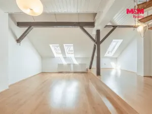 Pronájem bytu 1+1, Praha - Vinohrady, Záhřebská, 88 m2