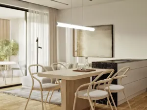 Prodej bytu 2+kk, Opava, Husova, 60 m2