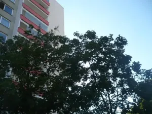 Prodej bytu 3+1, Praha - Karlín, U Sluncové, 76 m2