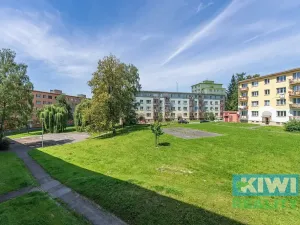 Pronájem bytu 1+1, Havířov, Dlouhá třída, 36 m2
