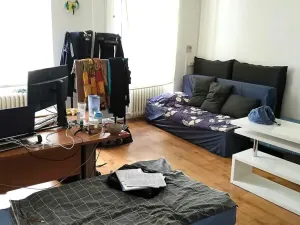 Pronájem bytu 5+1, Brno, Masarykova, 140 m2