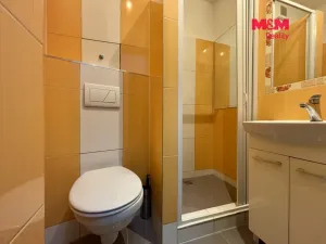 Prodej bytu 1+kk, Ostrava - Poruba, Ukrajinská, 25 m2
