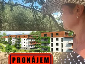 Pronájem bytu 1+kk, Jablonec nad Nisou, Za Jízdárnou, 42 m2