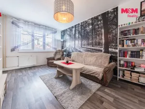 Pronájem bytu 2+1, Strakonice - Strakonice II, Alf. Šťastného, 59 m2