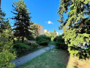 Prodej bytu 3+1, Praha, Havlínova, 53 m2