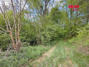 Prodej pozemku pro bydlení, Milešov, 2790 m2
