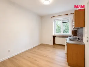 Pronájem bytu 1+kk, Olomouc - Hodolany, Zeyerova, 23 m2