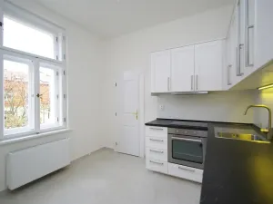 Pronájem bytu 1+1, Praha - Vinohrady, Mánesova, 47 m2