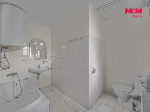 Prodej ubytování, Hoštka, 130 m2